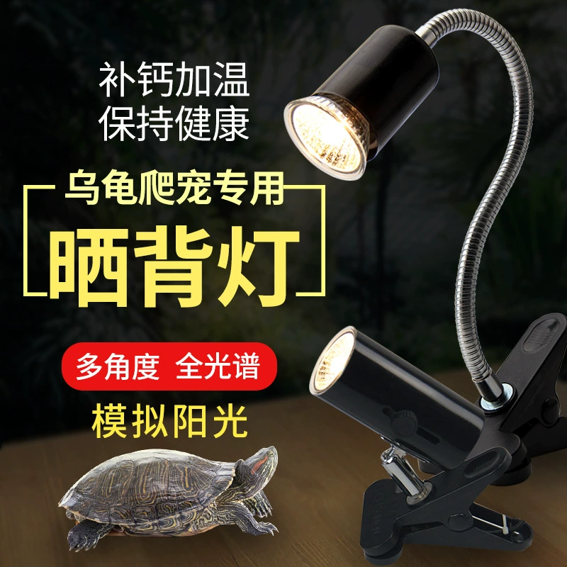 Легко Очаровательная рептилия домашнее животное черепаха солнце подсветка подставка UVA нагревательная лампа зажим универсальная подставка для лампы UVB зажим для лампы Регулировка температуры и кнопка
