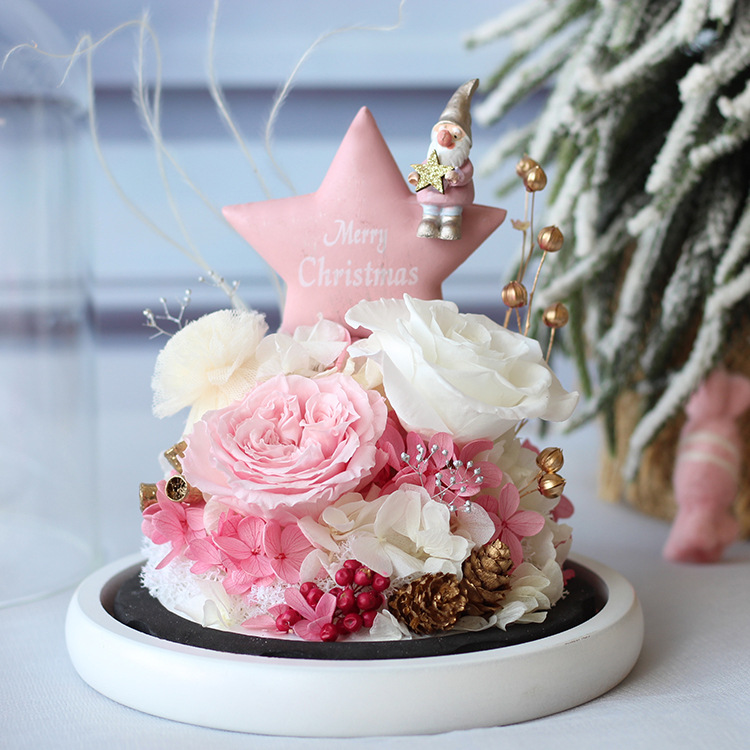 Flor Eterna Cubierta de Cristal, Regalo de San Valentín de Amazon, Rosa Estrella de Navidad, Regalo Festivo, Producto Terminado, Romántico