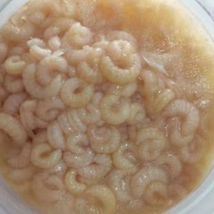 2025�����r�ك�����̥ �������x500g�b