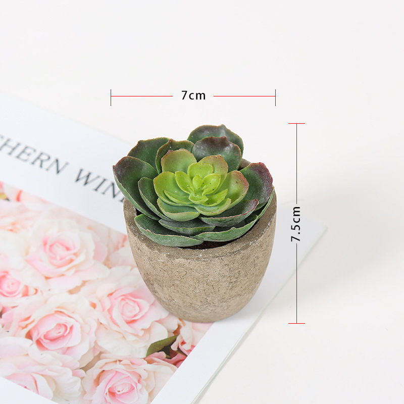 Transfronteriza dedicada simulación pulpa suculenta pequeña simulación de bonsai en maceta fabricantes de plantas suculentas pueden producir según sea necesario