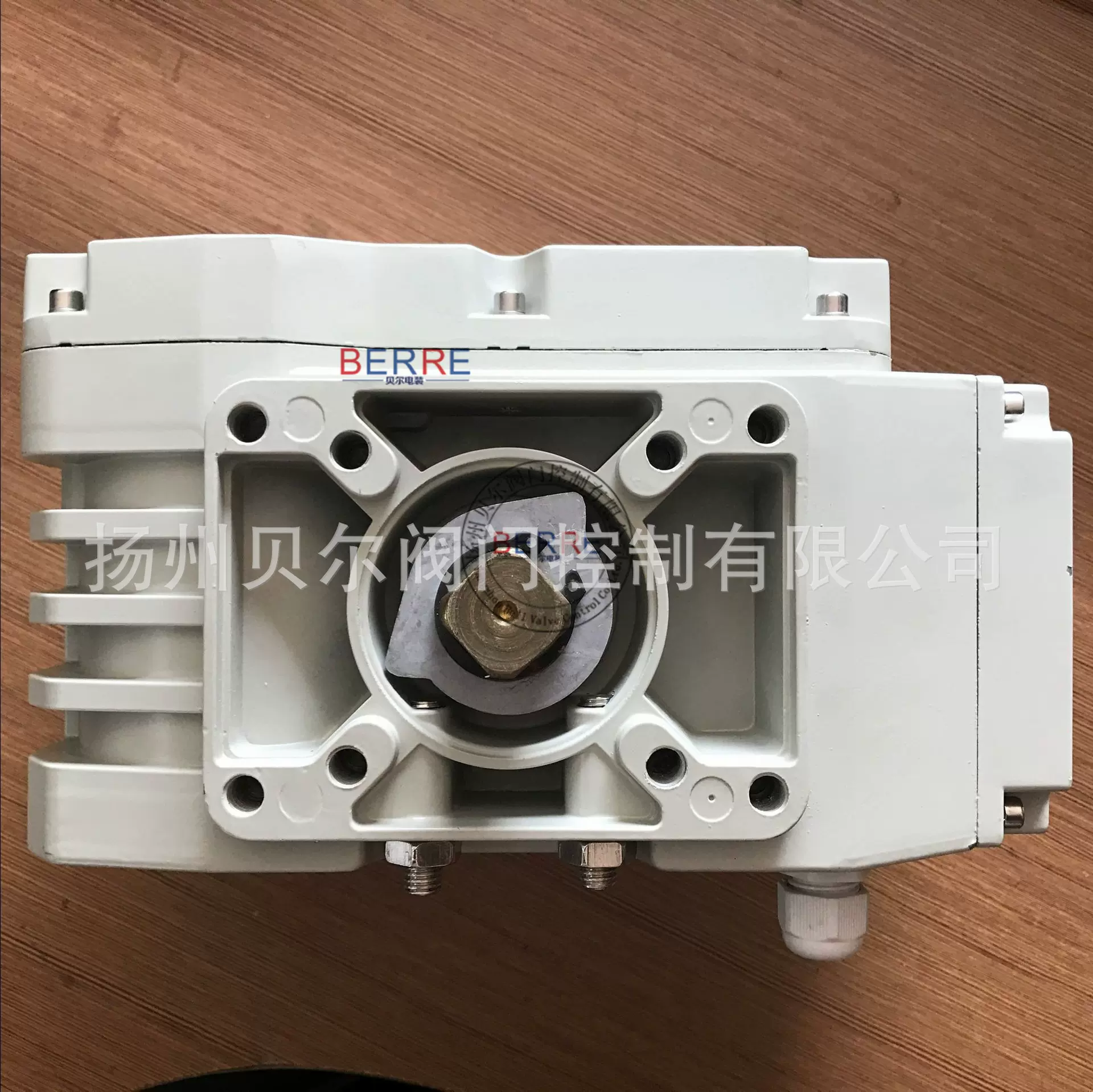 供应ZYS-10精小型电动阀门装置无源开关电动执行机构