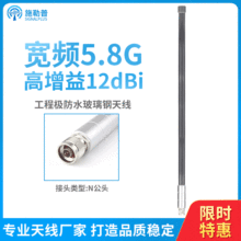 5.8G无线AP 无线监控 全向玻璃钢天线12dBi N公头 微基站wifi覆盖