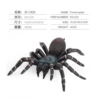 1220 funnel spider 48.8g