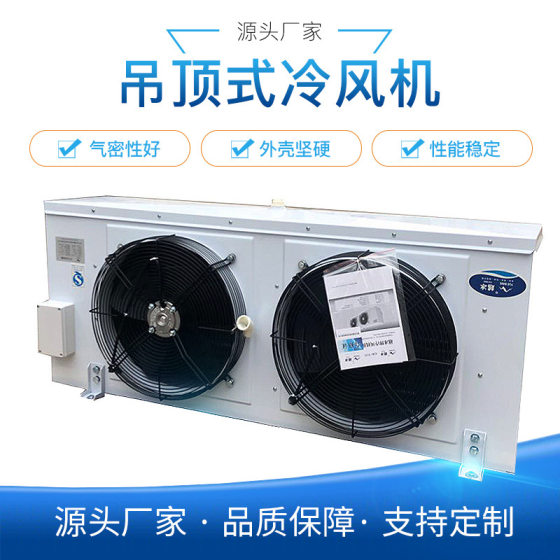 Dl/Dd/Dj Ceiling Air Cooler Evaporator Electrochemical Frost Air Cooler Cold Storage Internal Unit Refrigeration Equipment