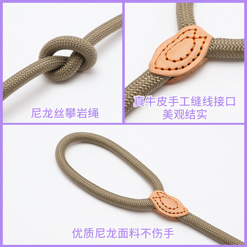 Manufacturer wholesale dog training P rope extended 2.5 meters thick P chain retractable all-in-one easy-to-pull pet leash