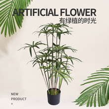 辰҃ͥԺ̈͏db[L܇