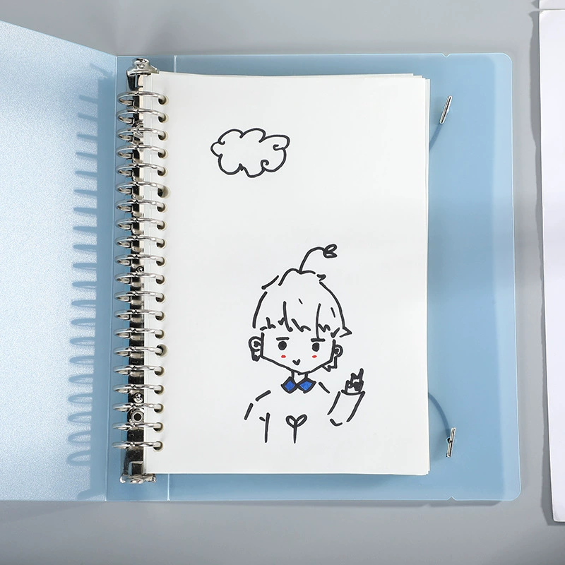 Laptop, book, removable capacious notebook, new collection, tear-off sheet