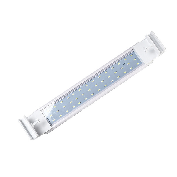 LED aquarium