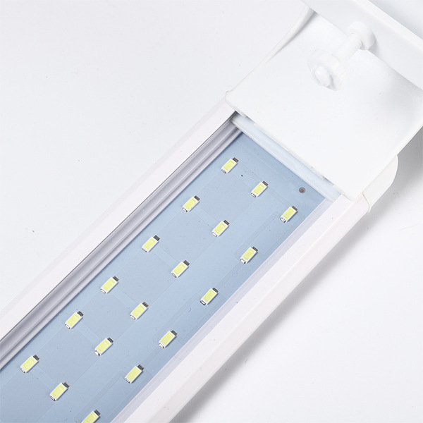 LED aquarium