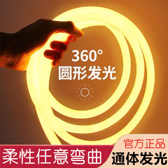 LED round light strip 360-degree lighting flexible neon light high brightness outdoor lighting decoration waterproof 220V soft tube