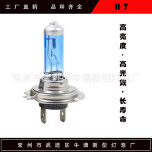 汽车大灯H系列高亮卤素大灯H7汽车灯泡12v 24v55w/100w