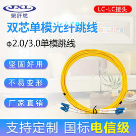 电信级 LC-LC 双芯单模光纤跳线 铠装尾纤光纤跳线 室内跳线 现货