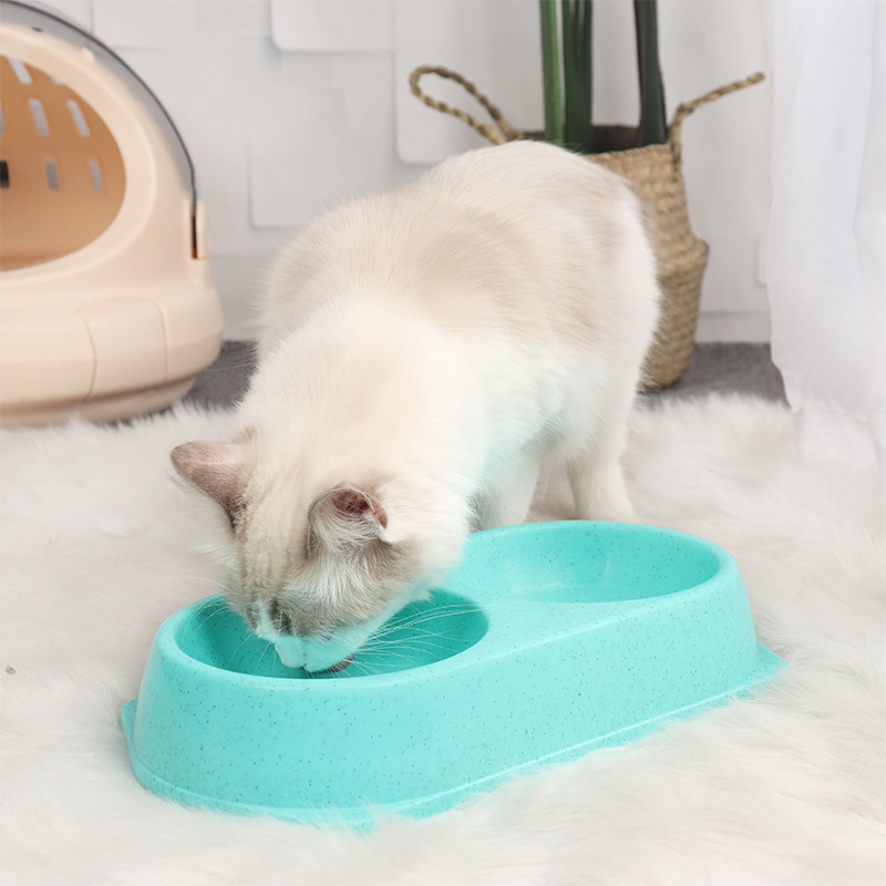Directo de fábrica nuevo tazón doble para mascotas PP de color sólido redondo un tazón de doble uso tazón de comida para gatos Cuenca del perro suministros para mascotas