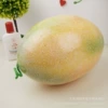 Foam cantaloupe