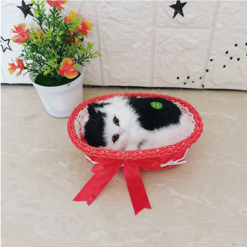 그것은 큰 빨간 검고 하얀 고양이라고 불린다.