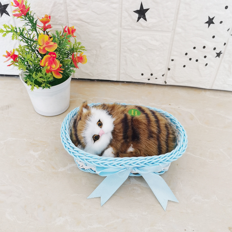 파란색 큰 상자 노란색 사향 고양이를 부를 것입니다