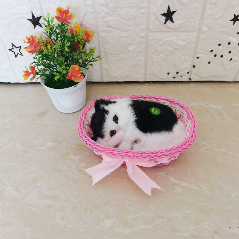 그것은 핑크 빅 프레임 검은 고양이라고 불린다.