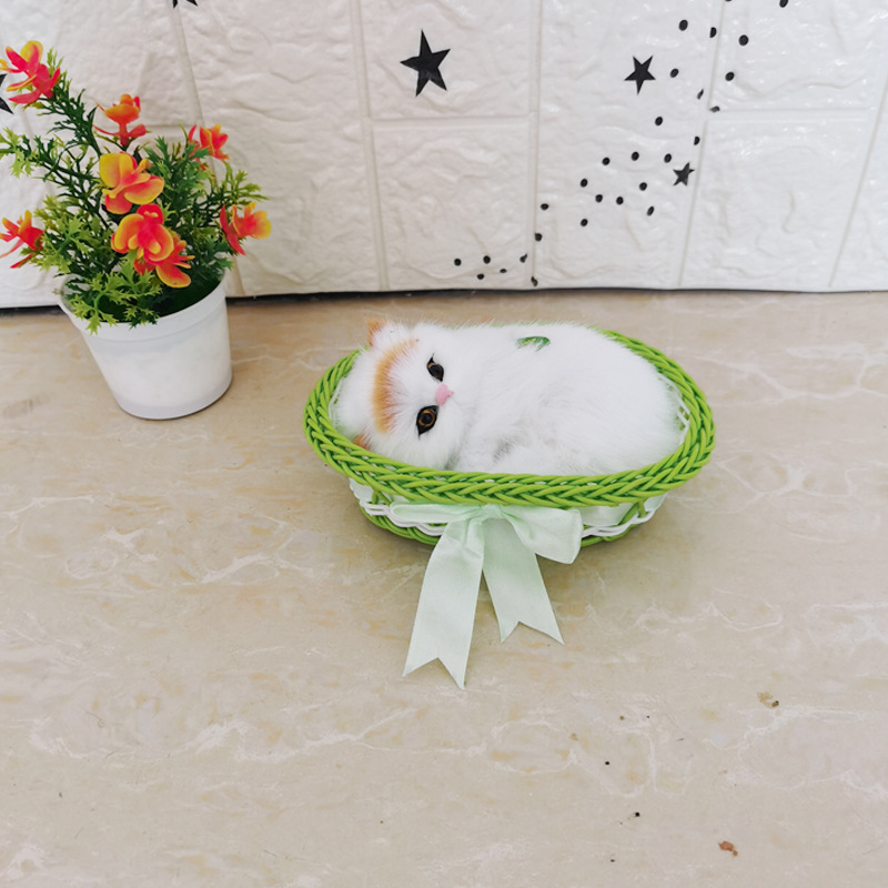 큰 녹색 상자를 부를 것입니다 노란 머리 고양이