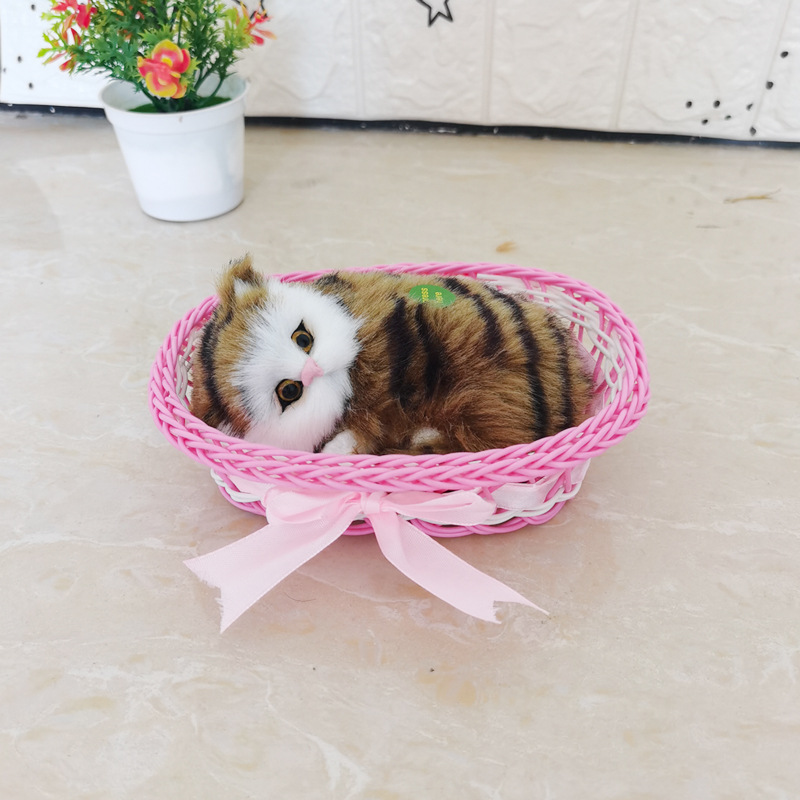 그것은 핑크 큰 상자 노란색 사향 고양이 호출됩니다