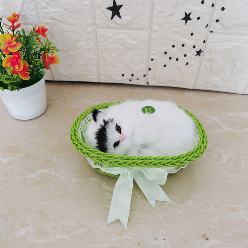 큰 녹색 검은 머리 고양이를 부를 것입니다