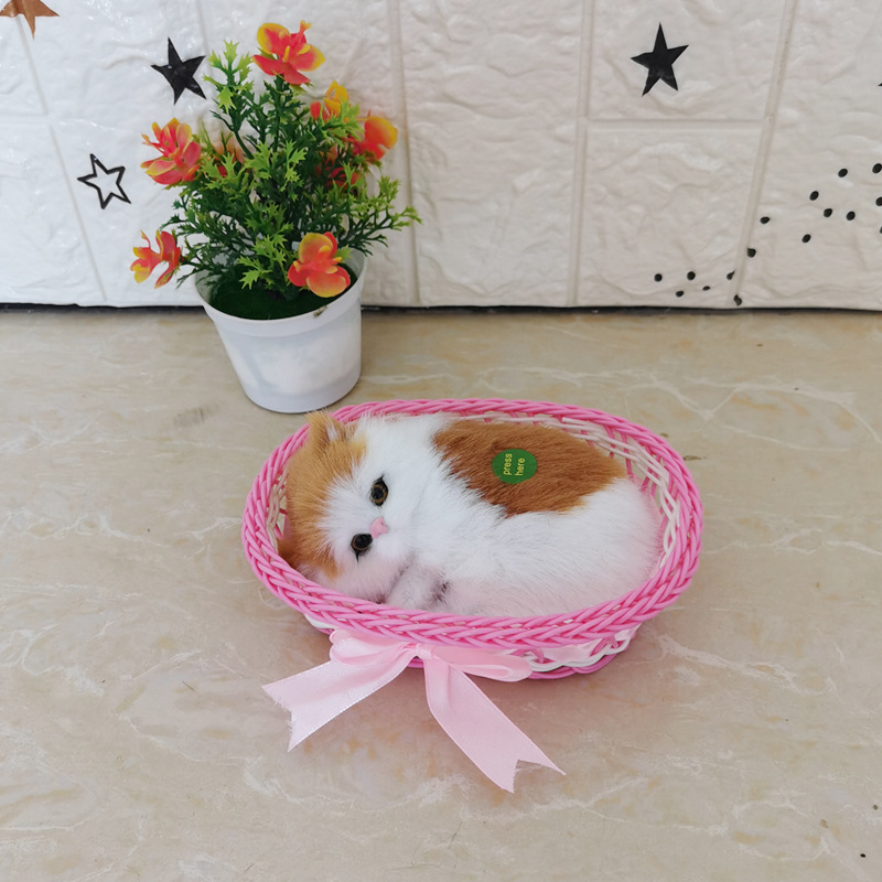 핑크 빅 프레임 노란색 블록 고양이라고 불립니다.