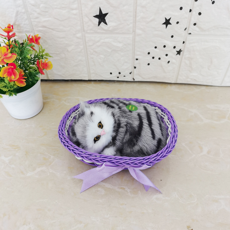 그것은 보라색 프레임의 사향 고양이라고 불린다.