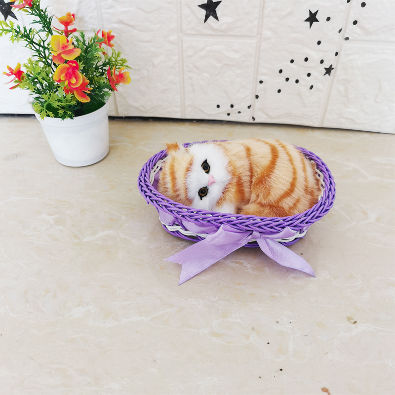 보라색이라고 불릴 것입니다 큰 프레임 노란 꽃 고양이