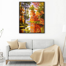 ���Q5d�ʯ���M��L���b���ľ���������ͮ��ֹ����w�W��