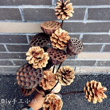 ɹ  }QbƷ [ AľƬֹɻϰ