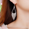 Earrings, pendant with tassels from pearl, long zirconium, Korean style