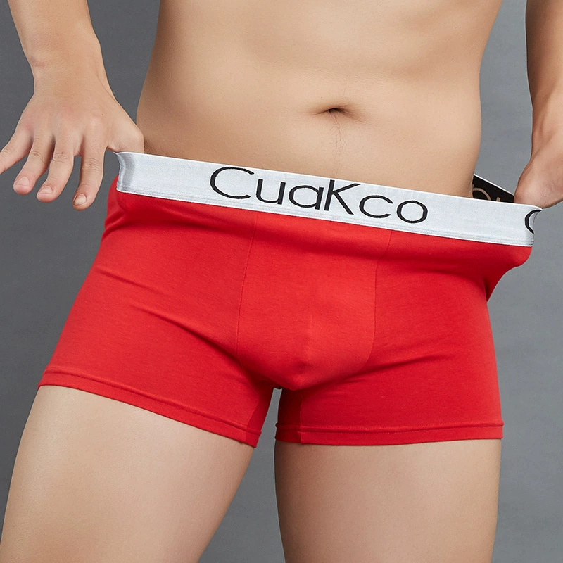 Брюки, дизайн sexy брюки, спортивные дышащие шорты, оптом, средняя посадка