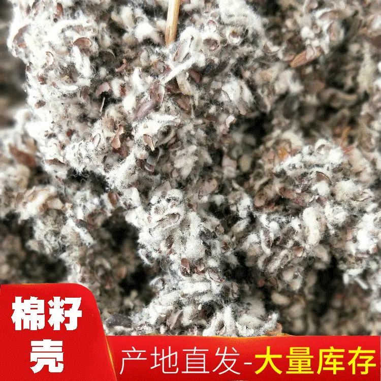 厂家供应棉籽壳 蘑菇养植用棉籽壳 菌用棉籽壳