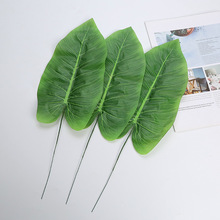 ����ֲ��Gֲ�b�Ʒ���Բ廨��ļٻ��~�����յ��߆�Ƭ���˽��~