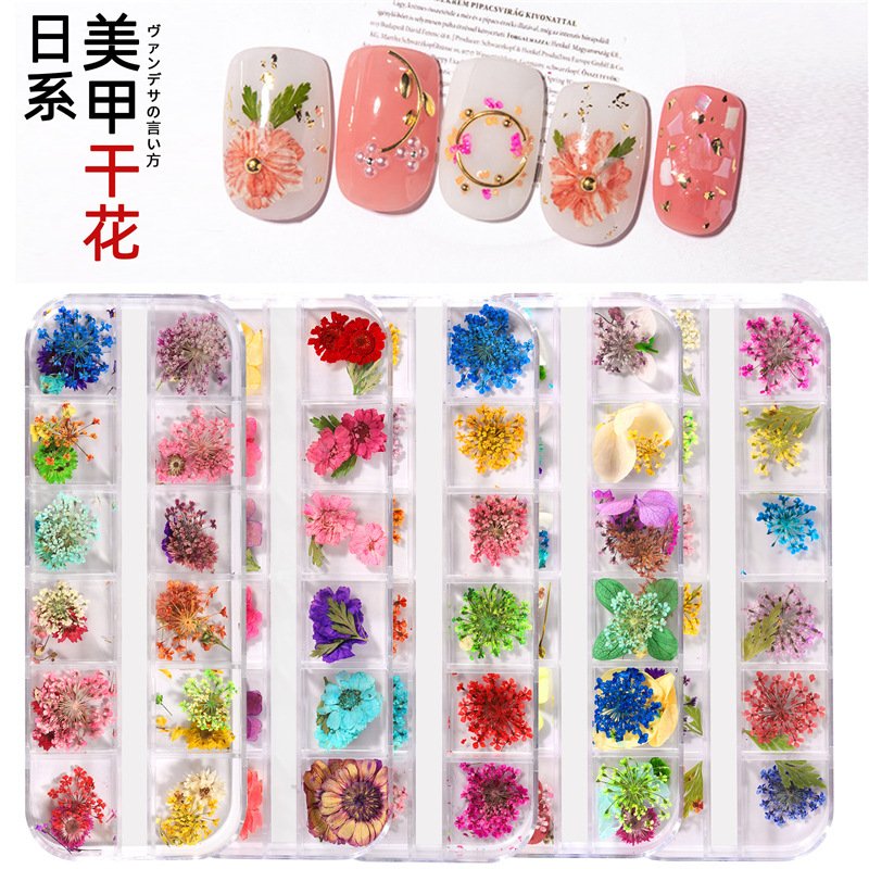 New Japanese Manicure Dried Flower 12-grid Long Boxed Purple Sunflower Gestazi Little Daisy Eternal Flower Dried Nail Flower