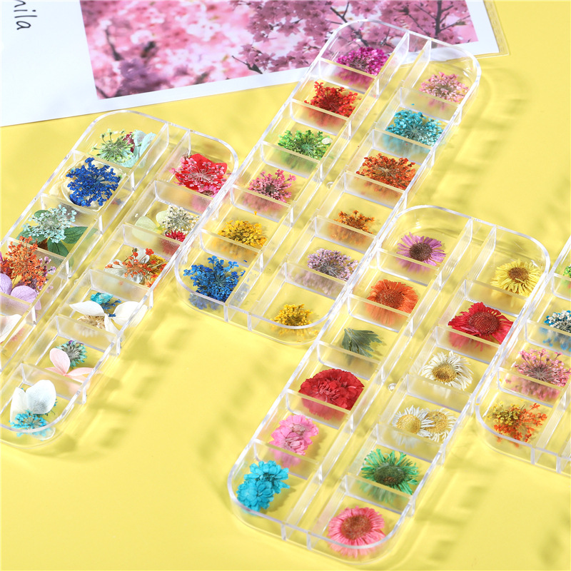 Nuevo estilo japonés flor seca de uñas 12 rejilla larga caja Ziyang flor estrellado Margarita flor eterna flor seca de uñas