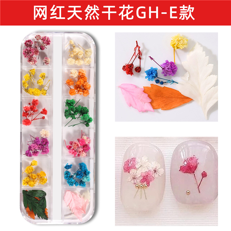 Nuevo estilo japonés flor seca de uñas 12 rejilla larga caja Ziyang flor estrellado Margarita flor eterna flor seca de uñas