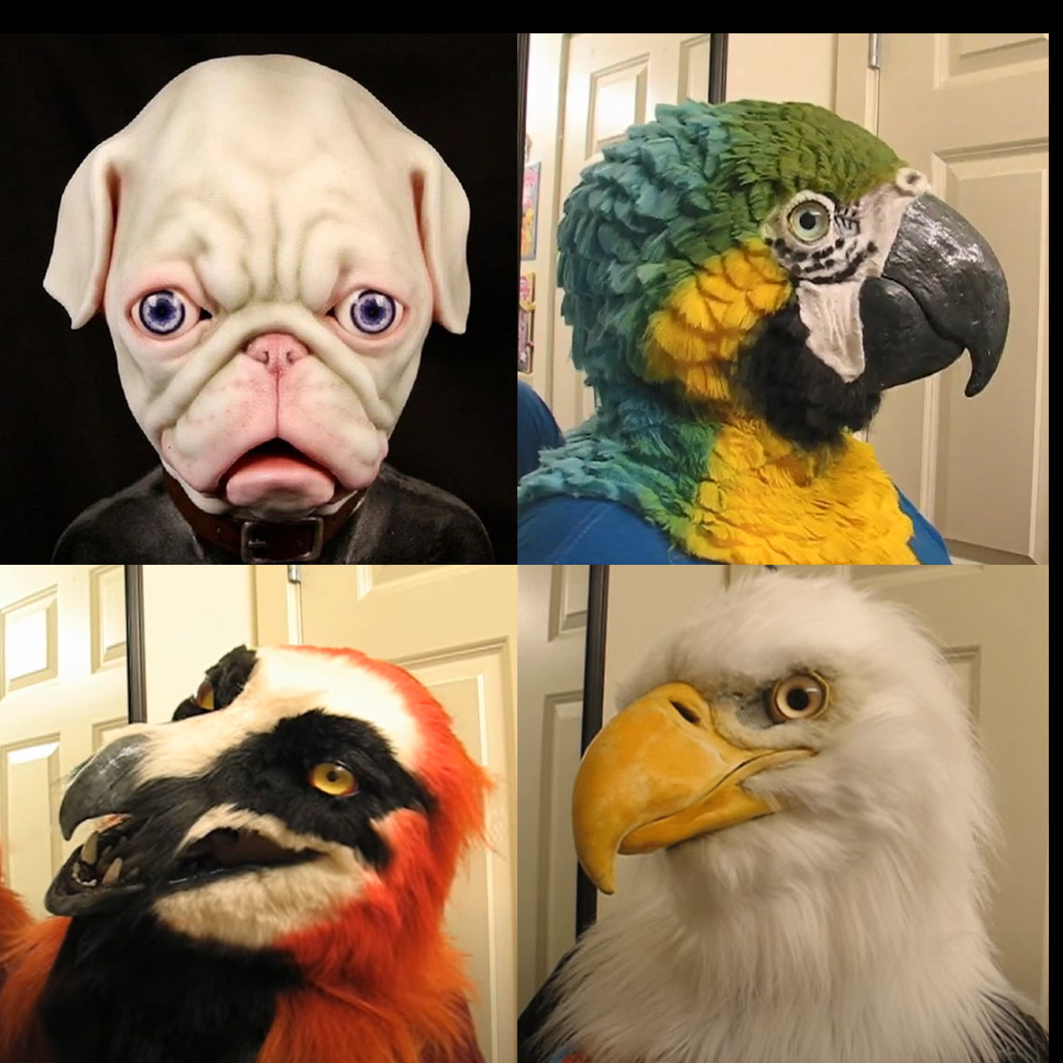 Águila máscara águila cabeza cubierta Halloween simulación animal Bulldog loro viejo y joven cabeza cubierta máscara