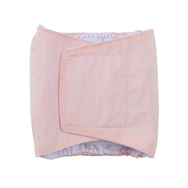 Special pet dog physiological pants