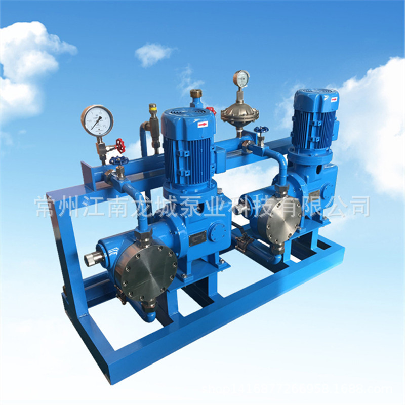 不锈钢计量泵组合撬 防爆计量泵撬装设备  665-A-N3 650-A-N3