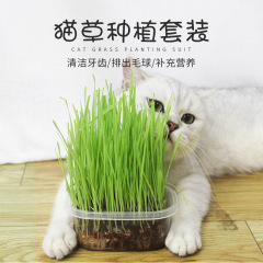 Cat products, fur grass, cat grass seeds, hydroponic catnip, nutrient soil planting set, remove fur balls, cat snacks 6