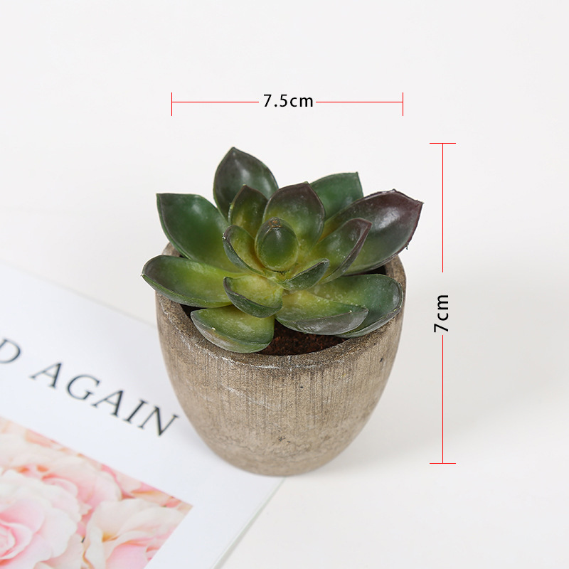 Transfronteriza dedicada simulación pulpa suculenta pequeña simulación de bonsai en maceta fabricantes de plantas suculentas pueden producir según sea necesario