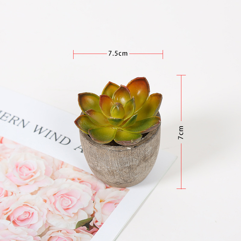 Transfronteriza dedicada simulación pulpa suculenta pequeña simulación de bonsai en maceta fabricantes de plantas suculentas pueden producir según sea necesario