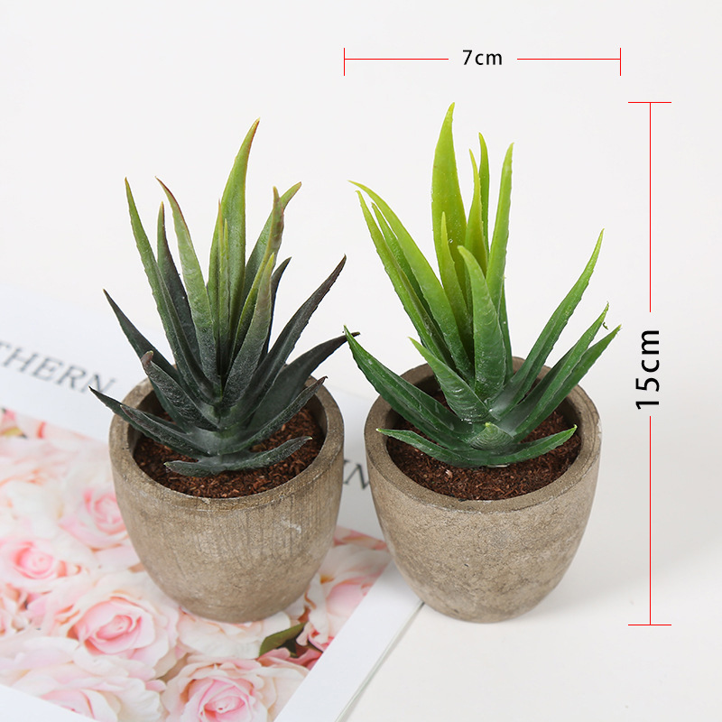 Transfronteriza dedicada simulación pulpa suculenta pequeña simulación de bonsai en maceta fabricantes de plantas suculentas pueden producir según sea necesario