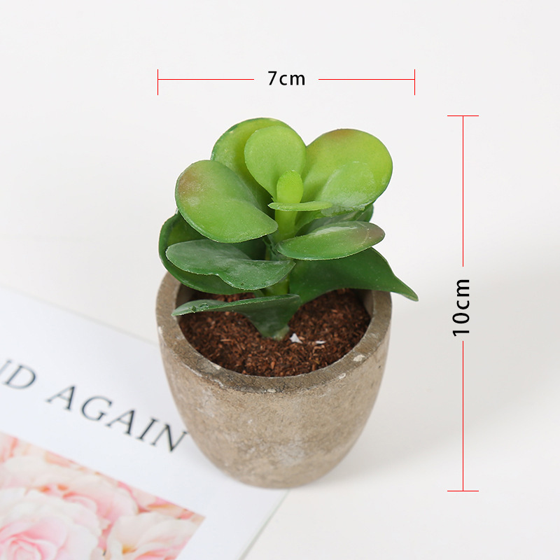 Transfronteriza dedicada simulación pulpa suculenta pequeña simulación de bonsai en maceta fabricantes de plantas suculentas pueden producir según sea necesario