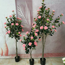 ���Q ����軨�辰 ����ɽ�軨���� ����Gֲ�ٻ� õ�廨�����l