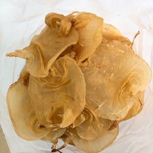 ������~�z���~�z�����������S�����z �ЋD���a