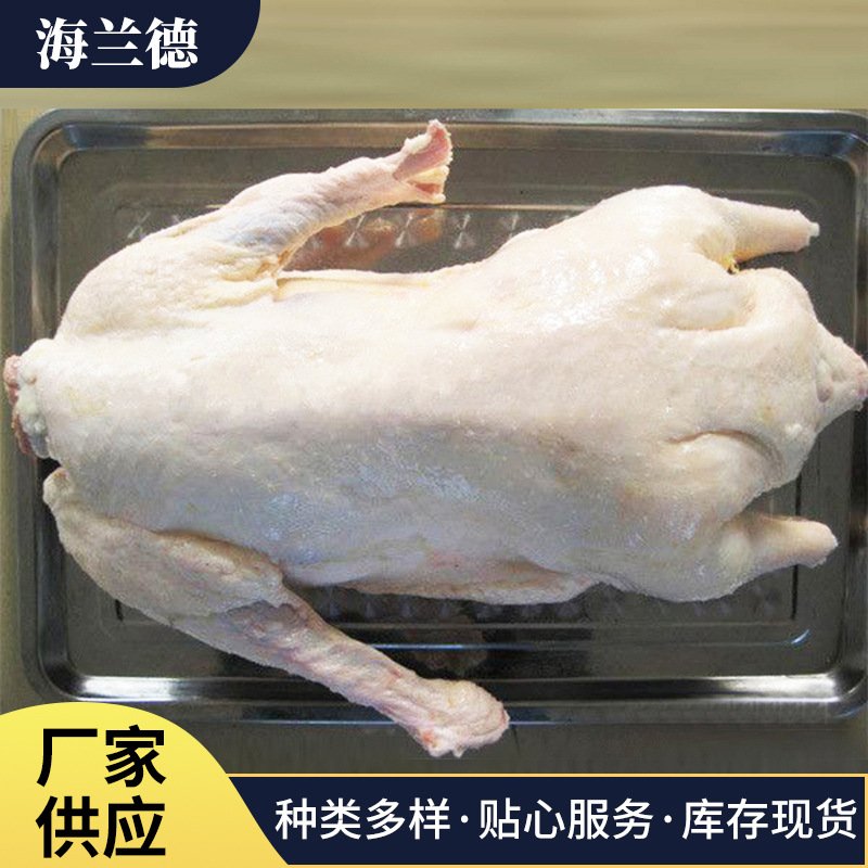 山东冷冻食品批发 农家散养白条鹅 冷冻鹅肉朗德鹅可批发零售