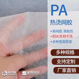 厂家销售PA热溶胶网膜 热烫网胶 高黏性 耐水洗干洗 多种克重