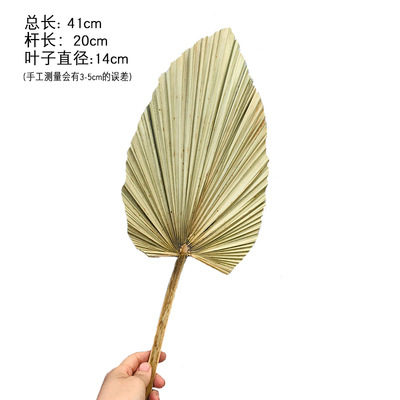 Pu fan hoja girasol fan hoja grande flor seca hoja de palma ventana vino fiesta arte colgante de pared decoración boda Arco de la boda diseño