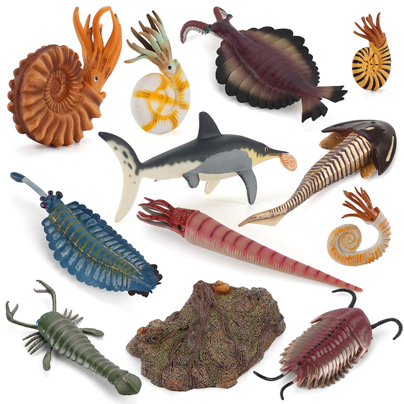 Transfronteriza nuevos niños simulación antigua vida marina modelo de juguete sólido espiral Camarón peces Dragón tortuga cognitiva adornos